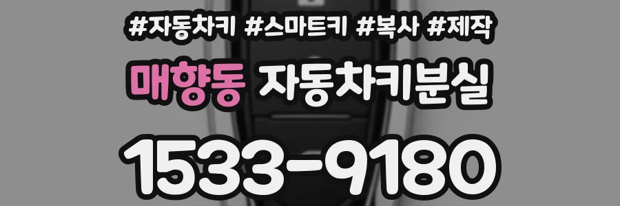 매향동 자동차키분실