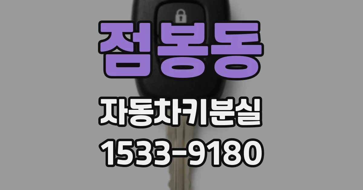 점봉동 자동차키분실