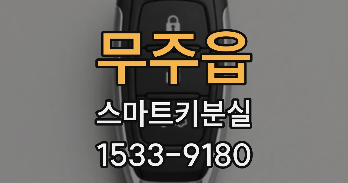 무주읍 스마트키분실