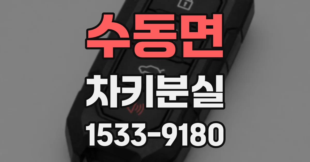 수동면 차키분실
