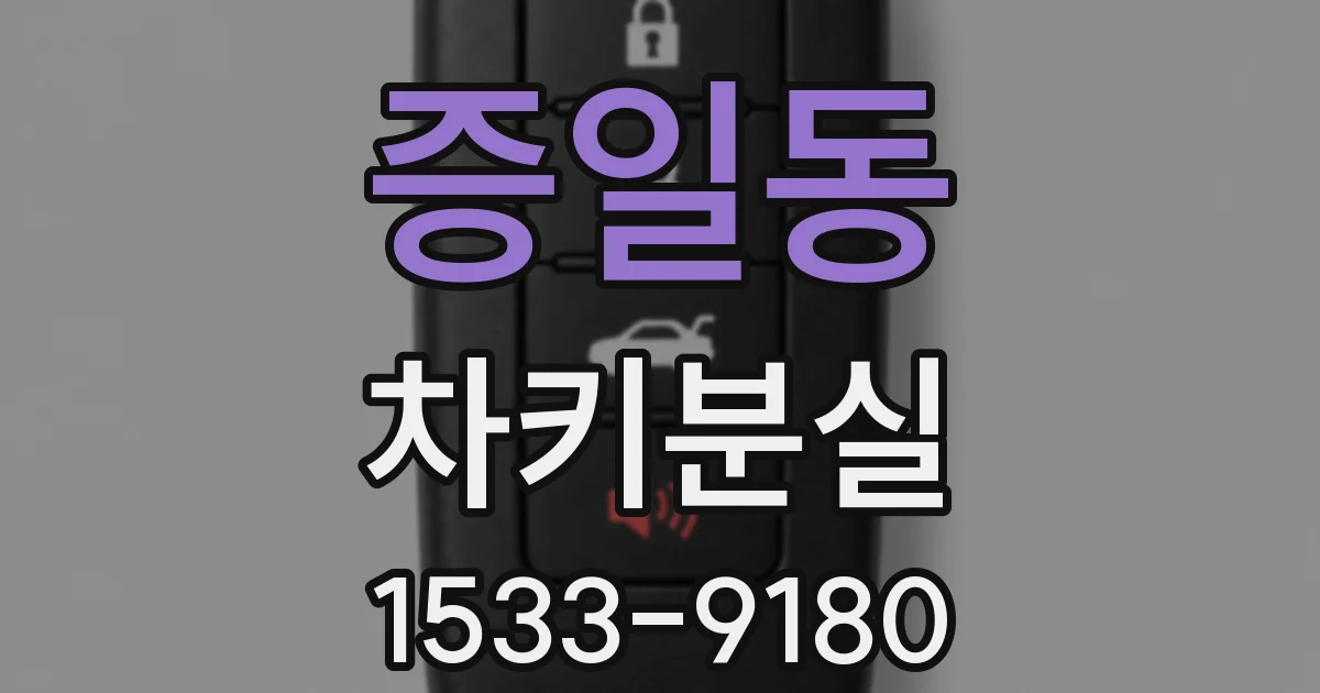 증일동 차키분실