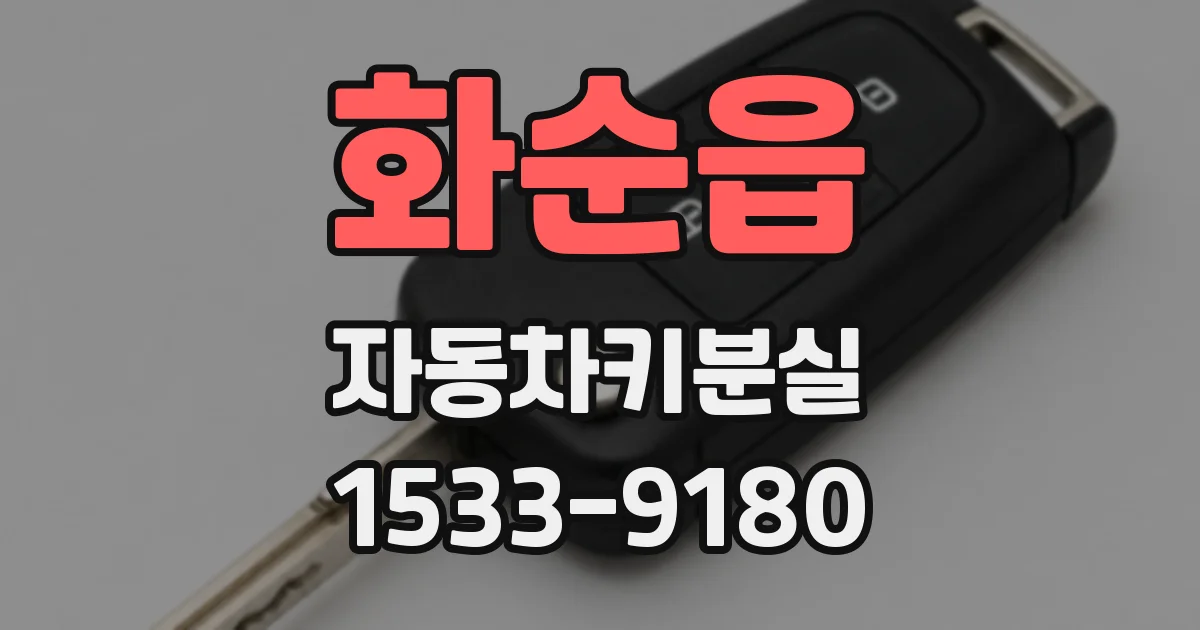 화순읍 자동차키분실