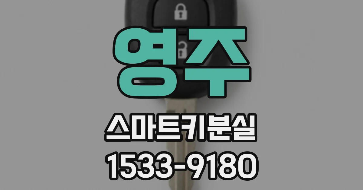 영주 스마트키분실