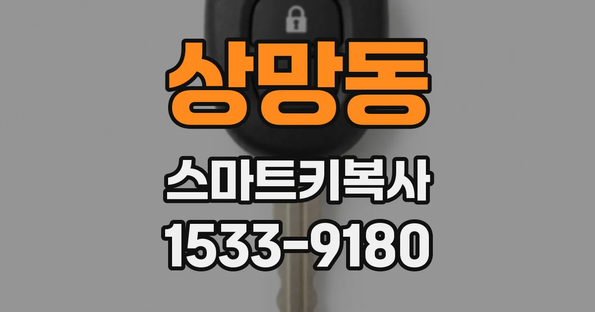 상망동 스마트키복사