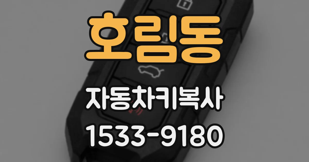 호림동 자동차키복사