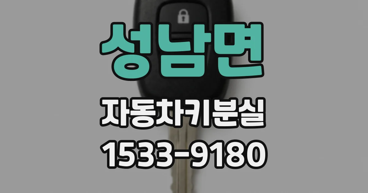 성남면 자동차키분실