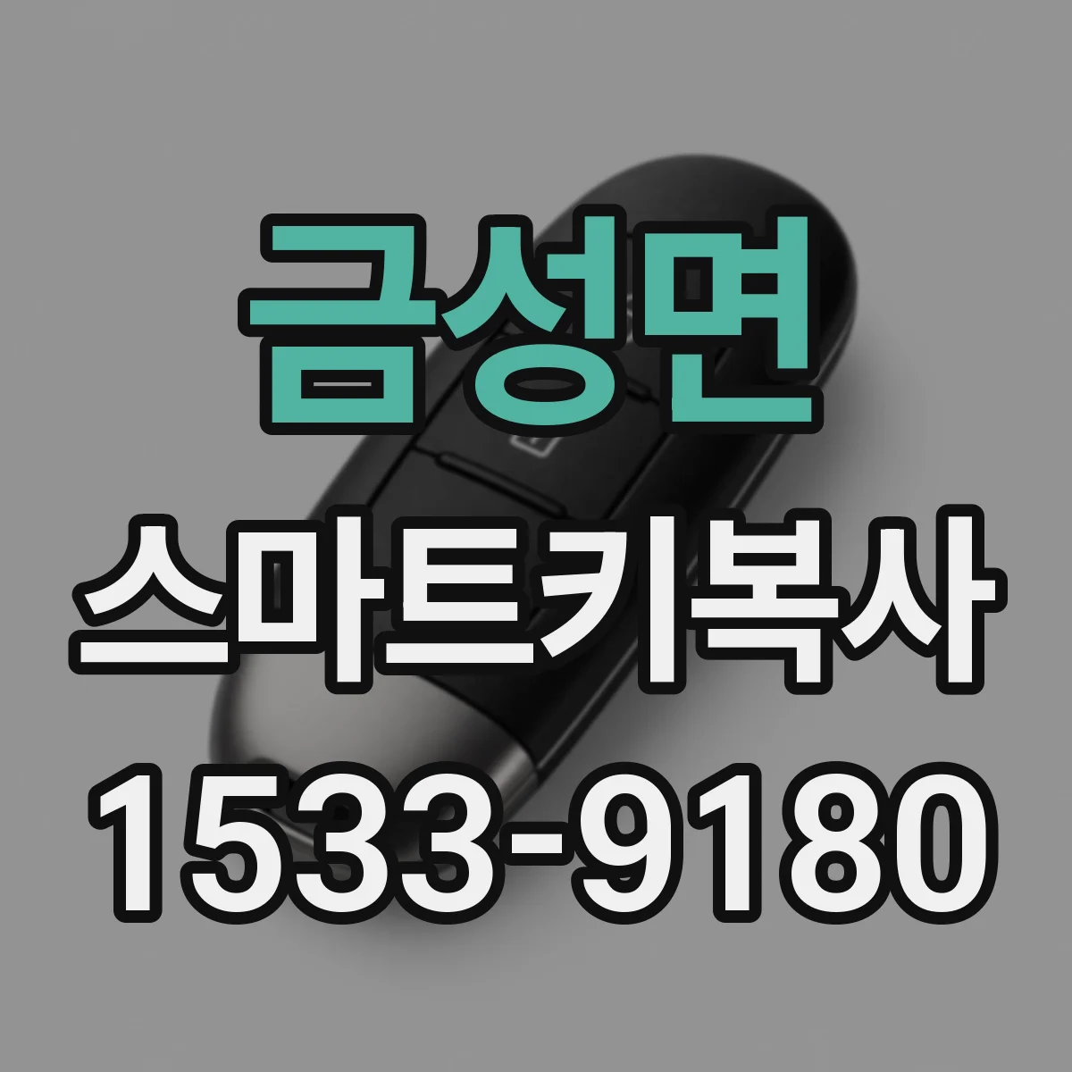 금성면 스마트키복사
