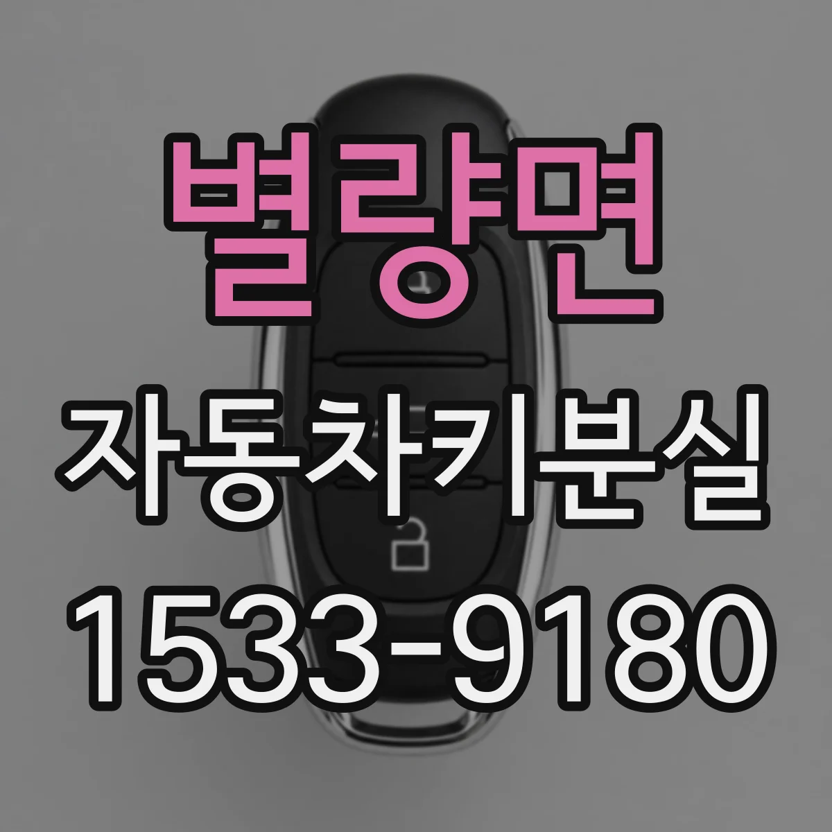 별량면 자동차키분실