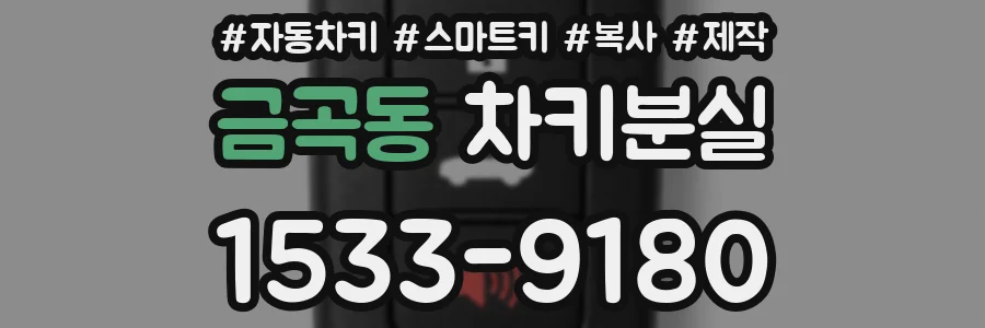 금곡동 차키분실