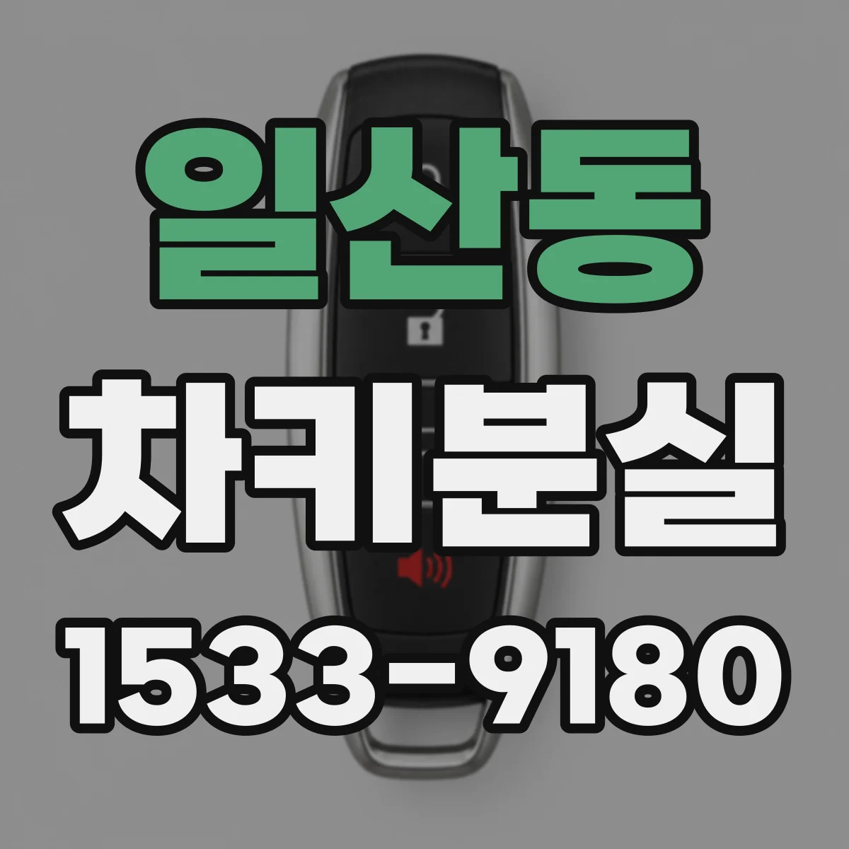 일산동 차키분실