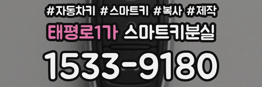 태평로1가 스마트키분실