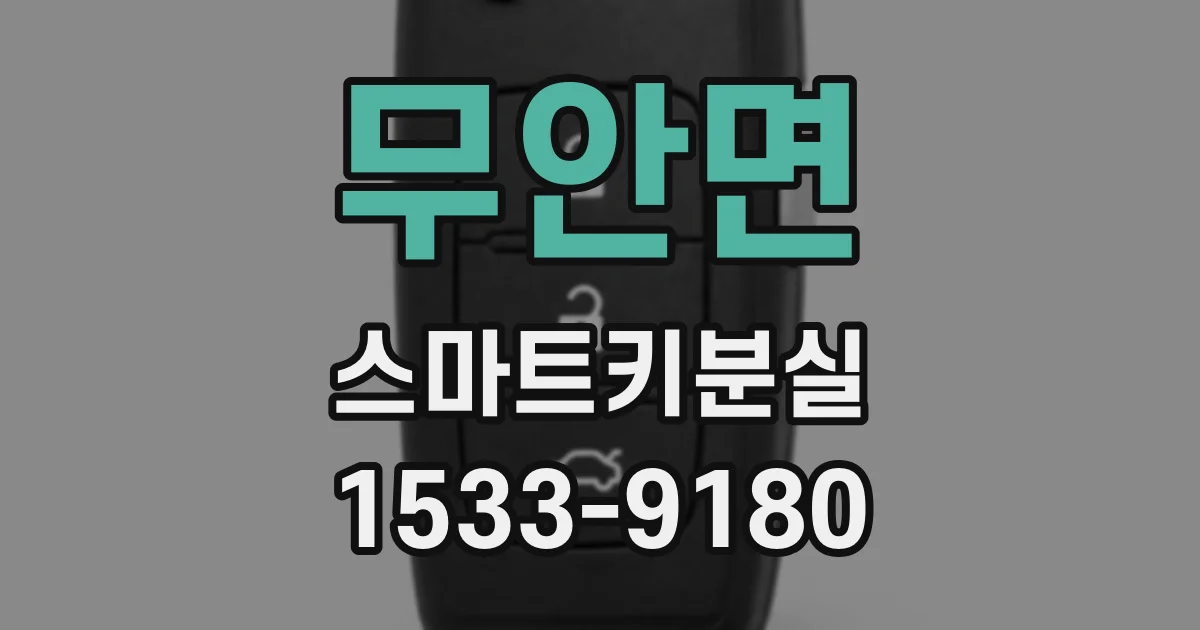 무안면 스마트키분실