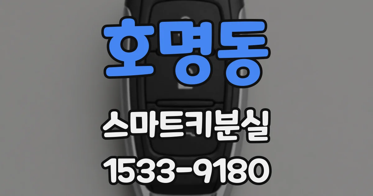 호명동 스마트키분실
