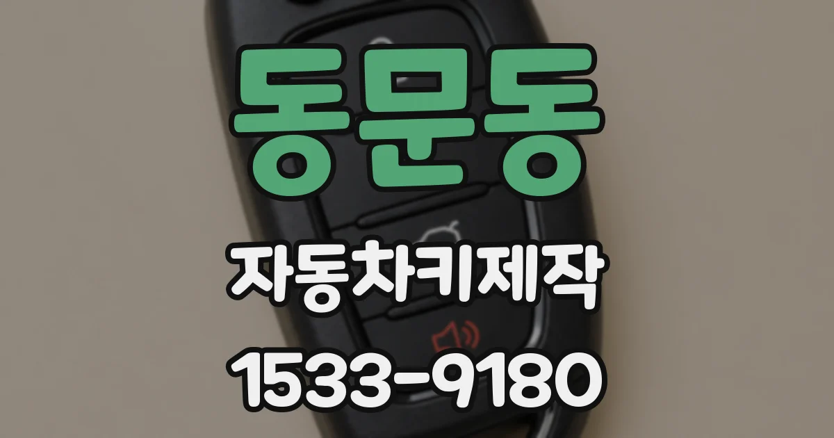 동문동 자동차키제작