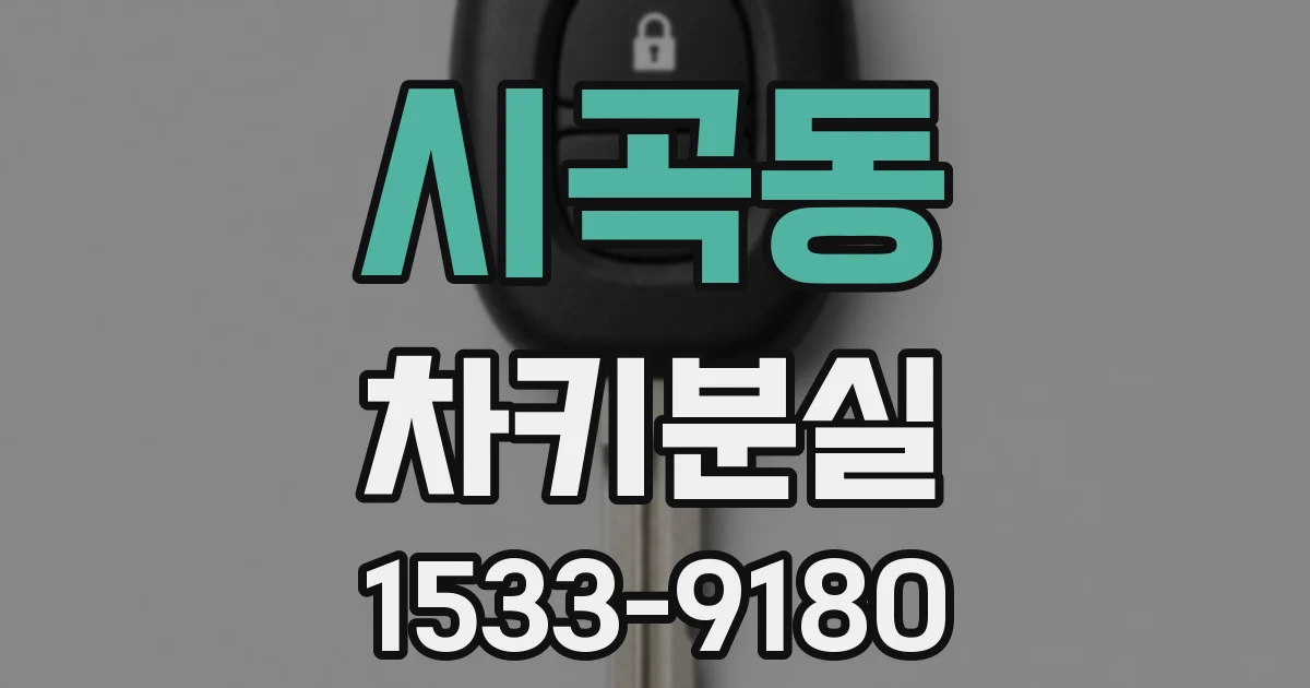 시곡동 차키분실