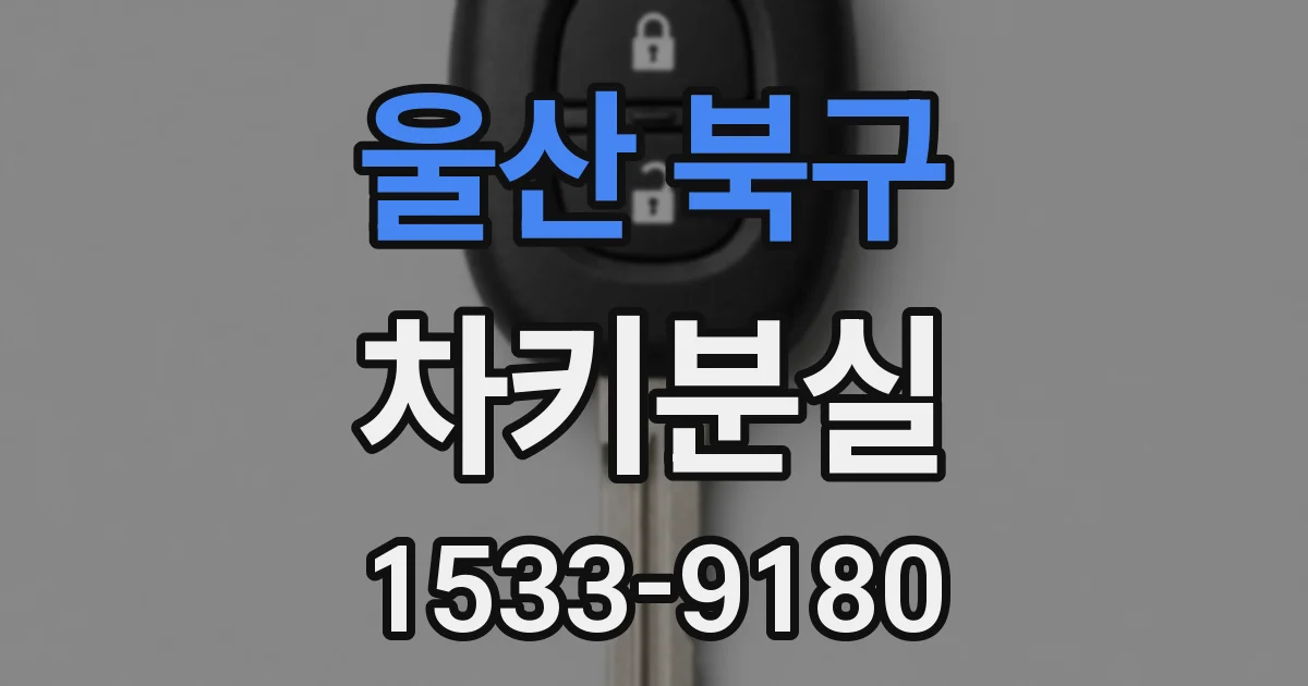 울산 북구 차키분실