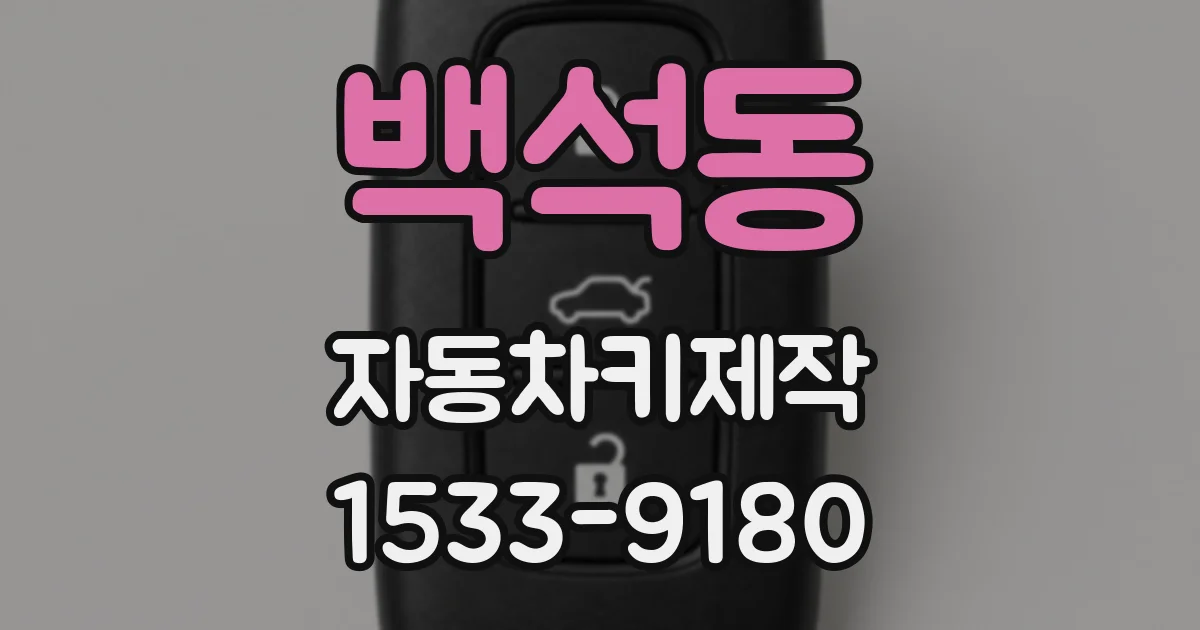 백석동 자동차키제작