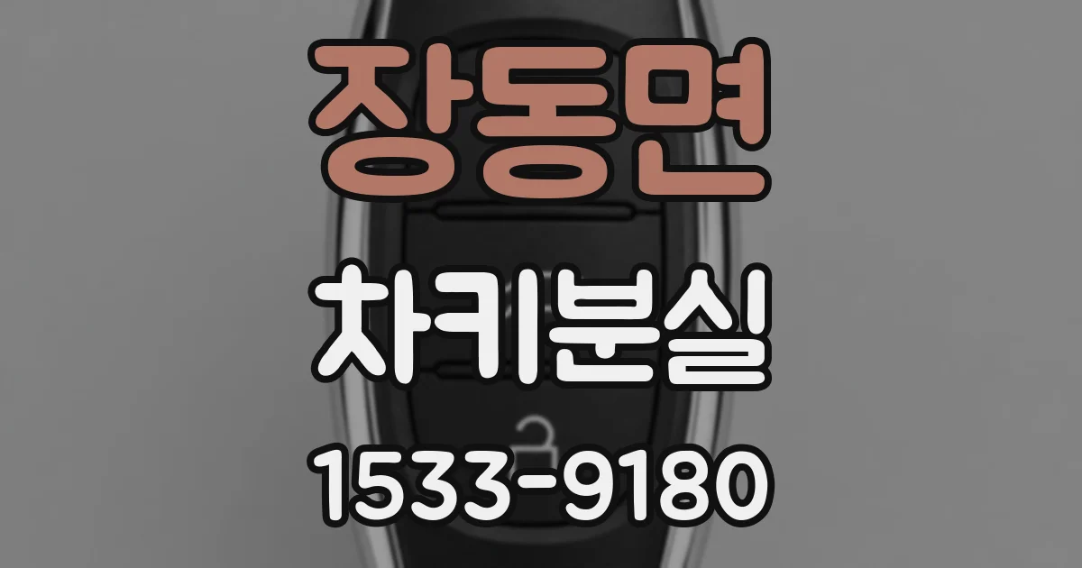 장동면 차키분실