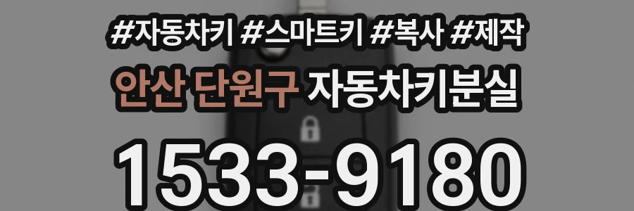 안산 단원구 자동차키분실