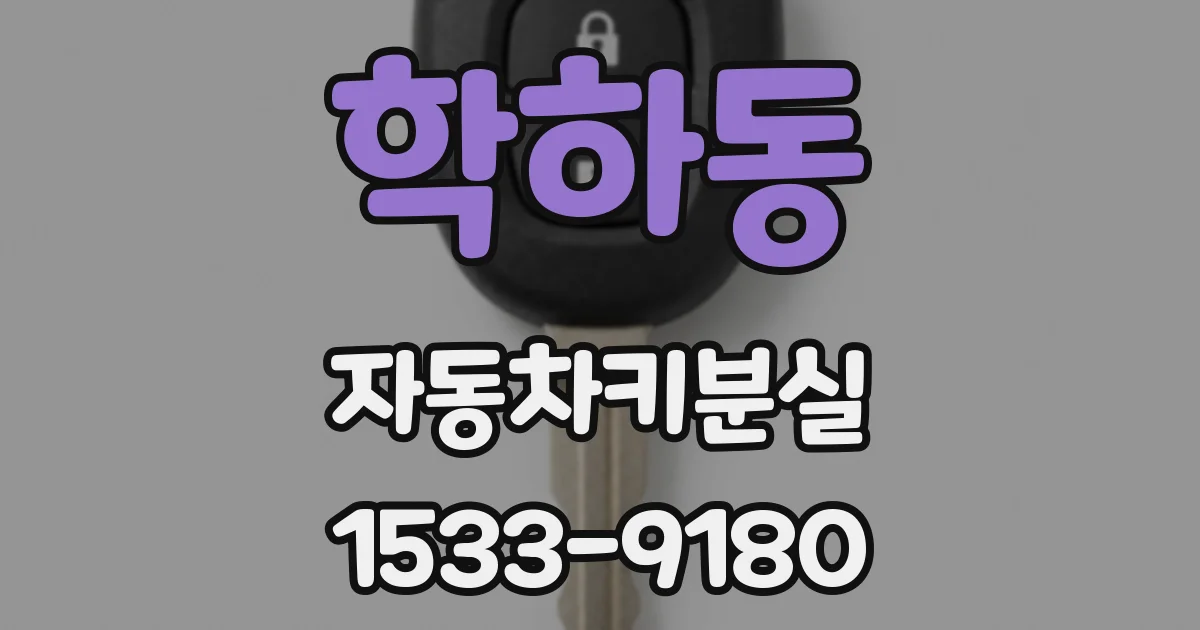 학하동 자동차키분실