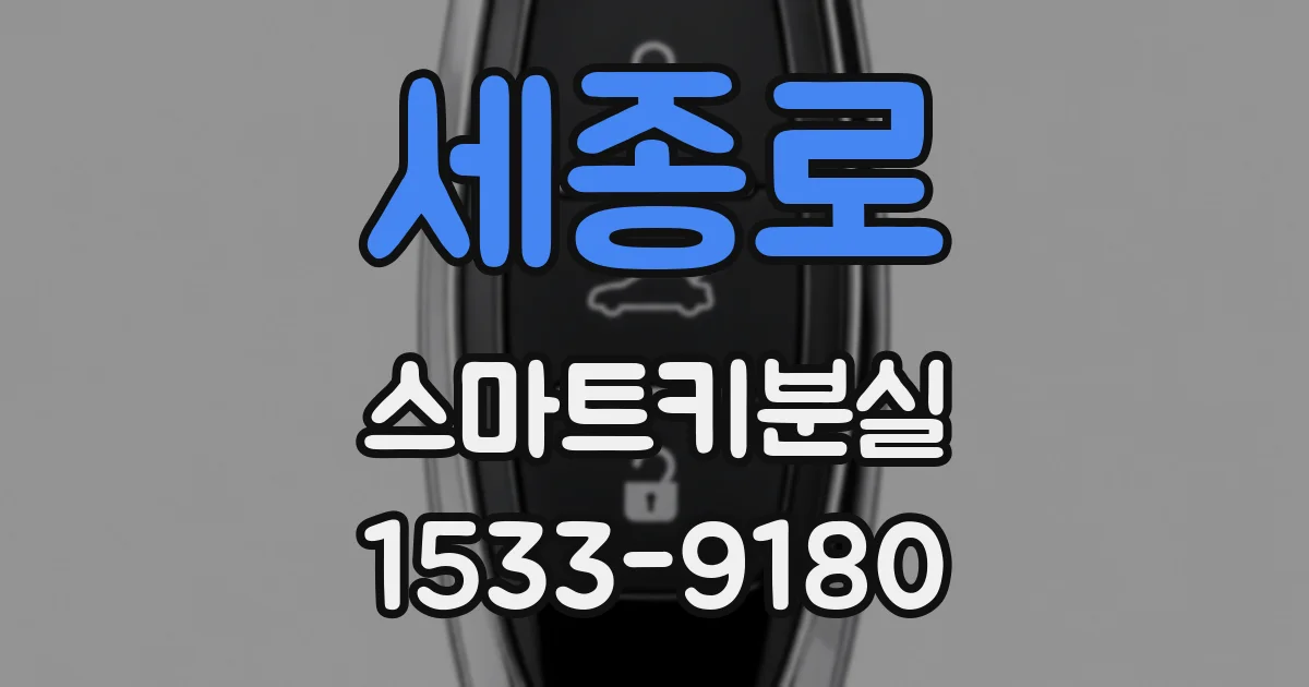 세종로 스마트키분실