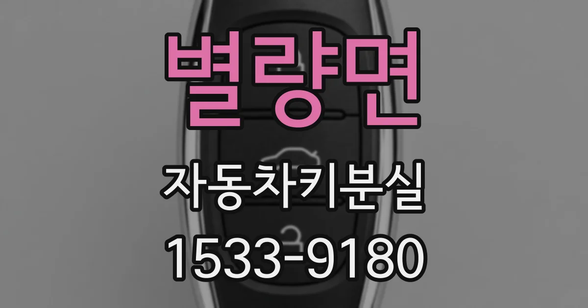 별량면 자동차키분실
