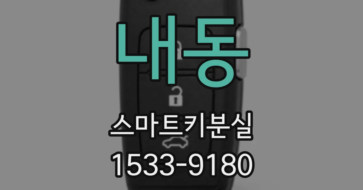 내동 스마트키분실