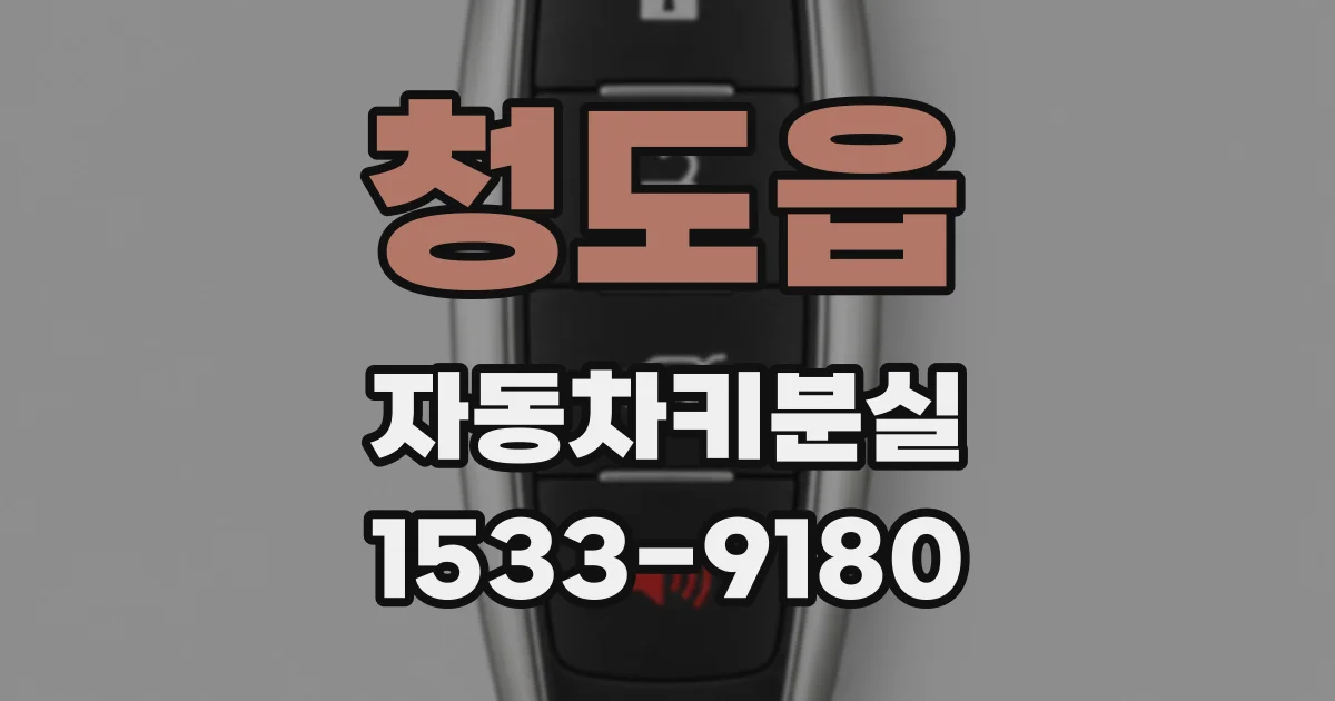 청도읍 자동차키분실