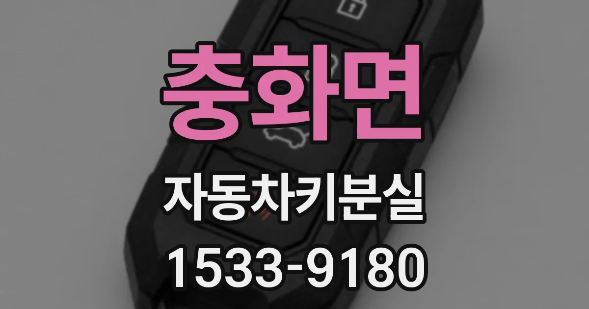 충화면 자동차키분실