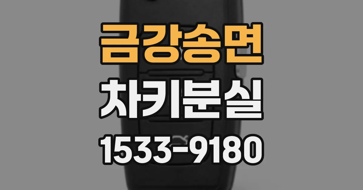 금강송면 차키분실