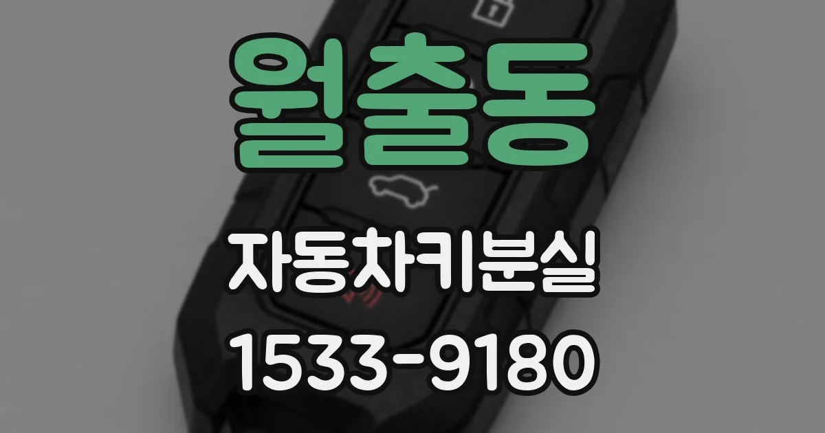 월출동 자동차키분실