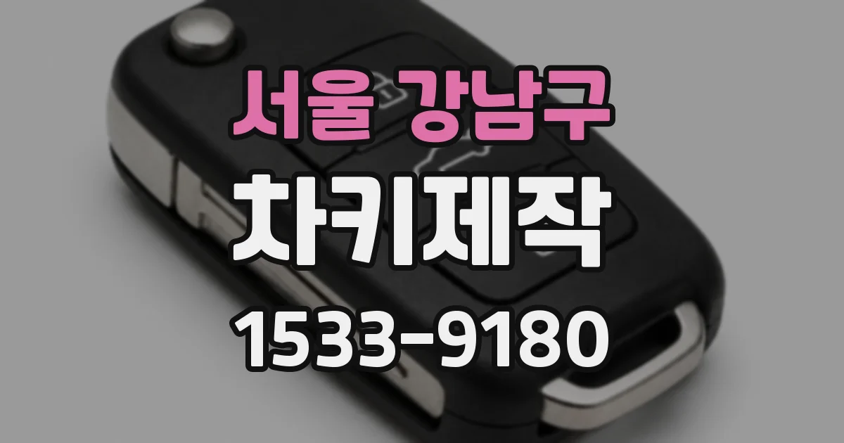 서울 강남구 차키제작
