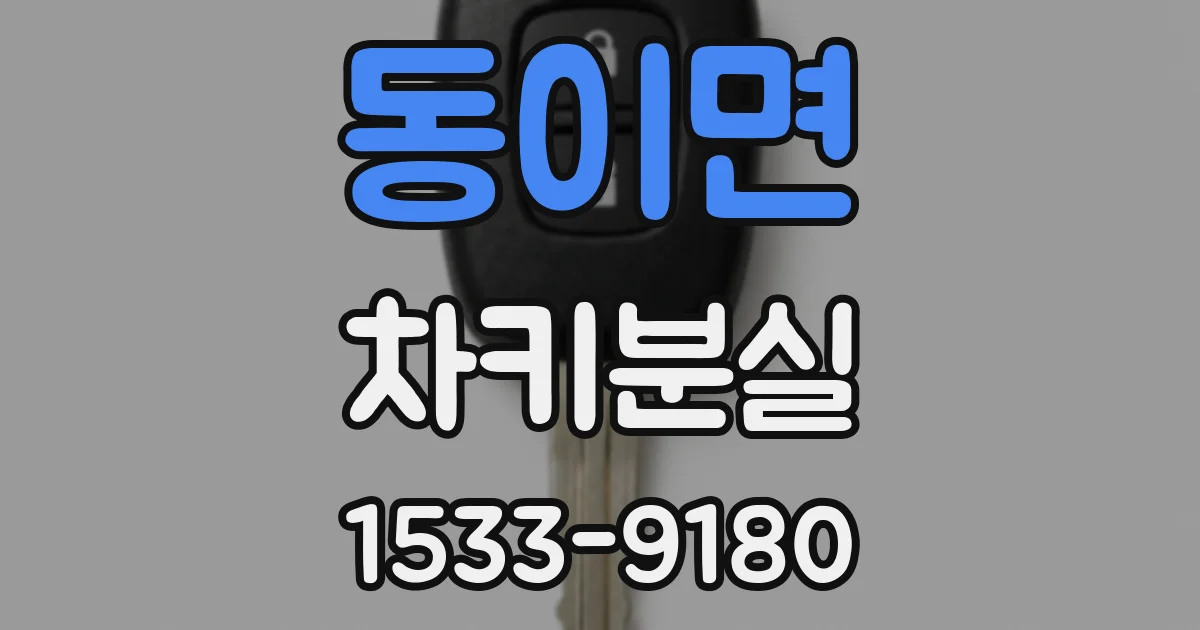 동이면 차키분실