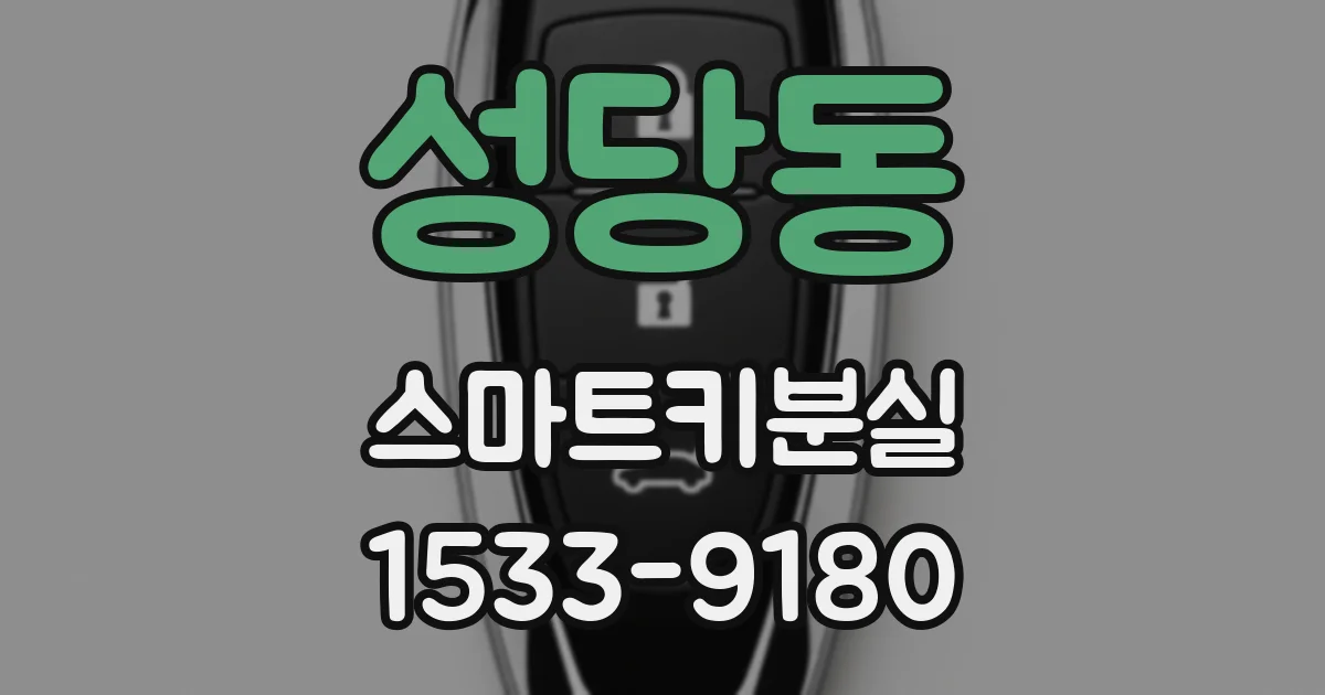 성당동 스마트키분실