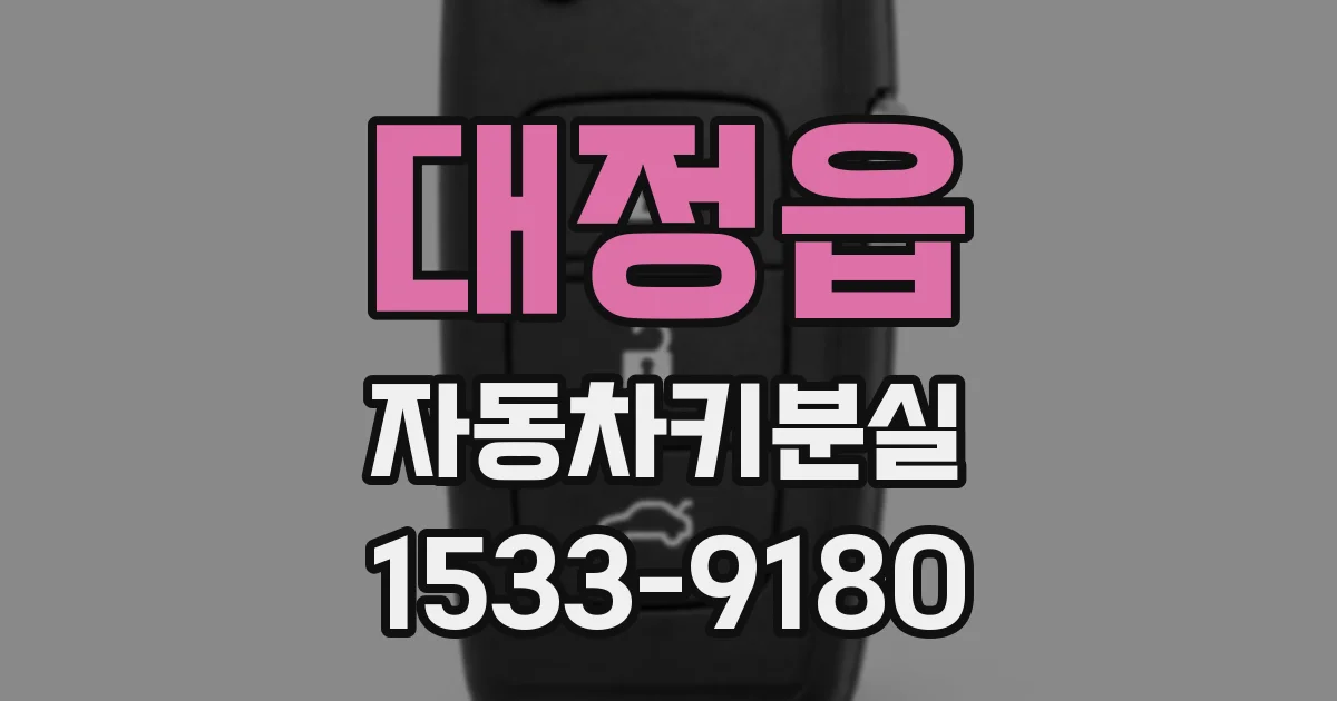 대정읍 자동차키분실