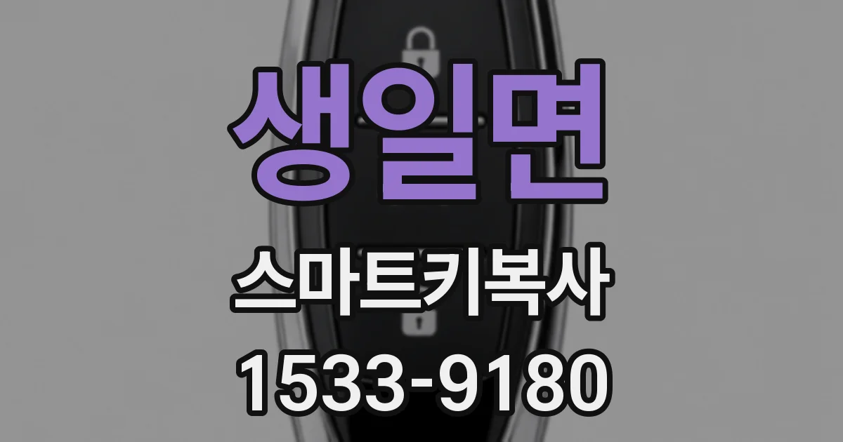 생일면 스마트키복사