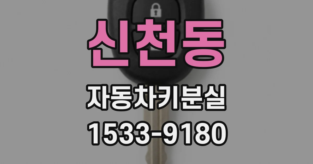 신천동 자동차키분실