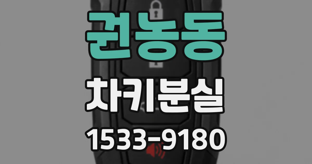 권농동 차키분실