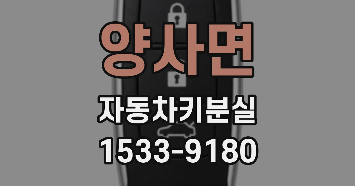 양사면 자동차키분실