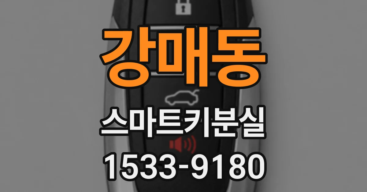 강매동 스마트키분실