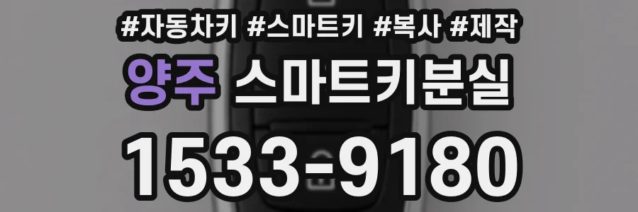 양주 스마트키분실