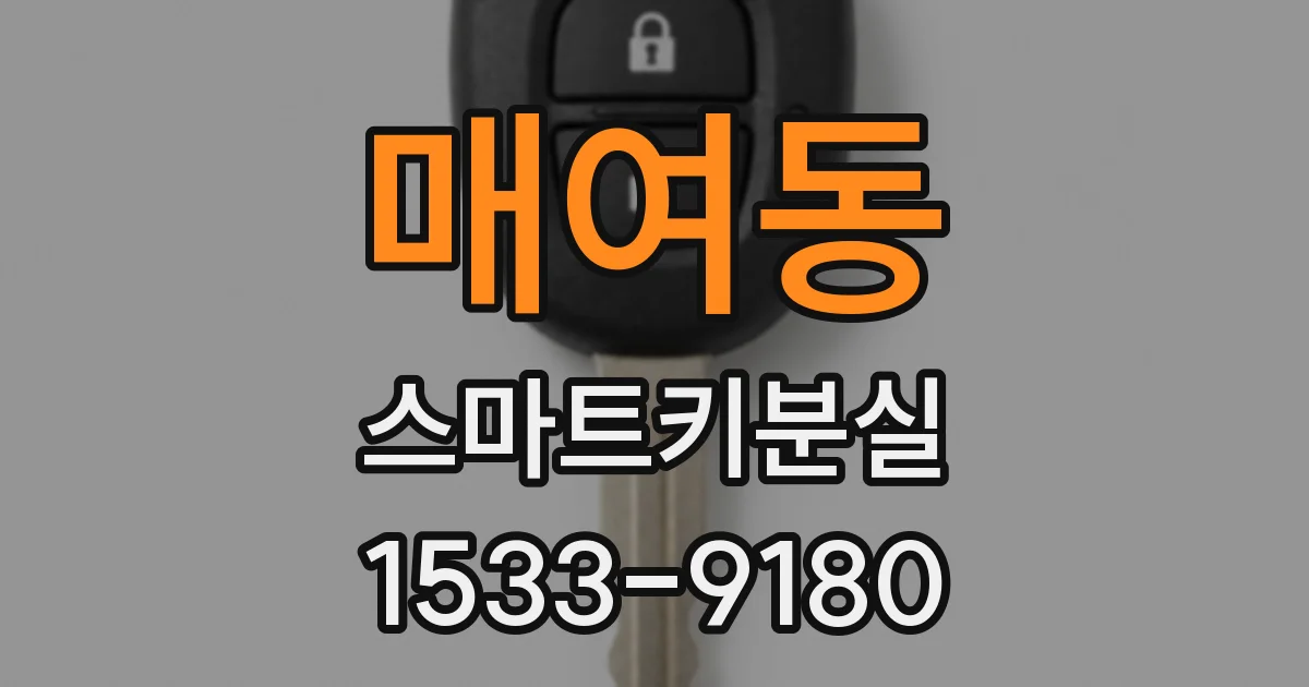매여동 스마트키분실