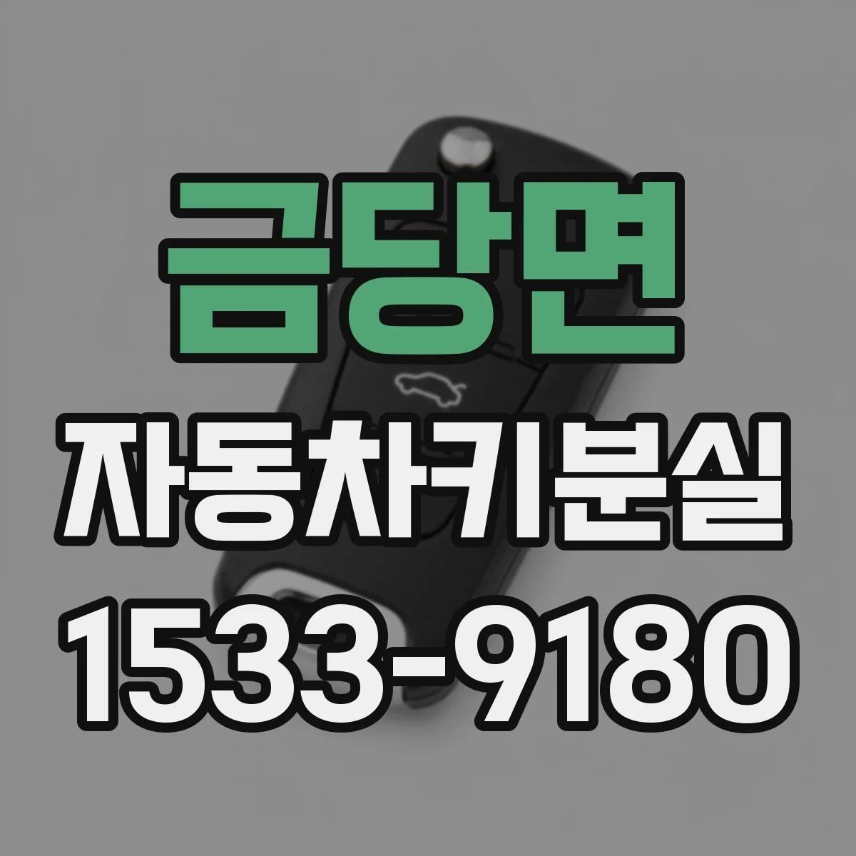 금당면 자동차키분실