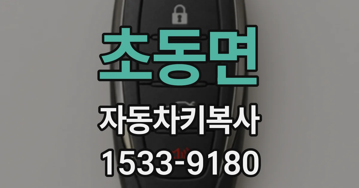초동면 자동차키복사