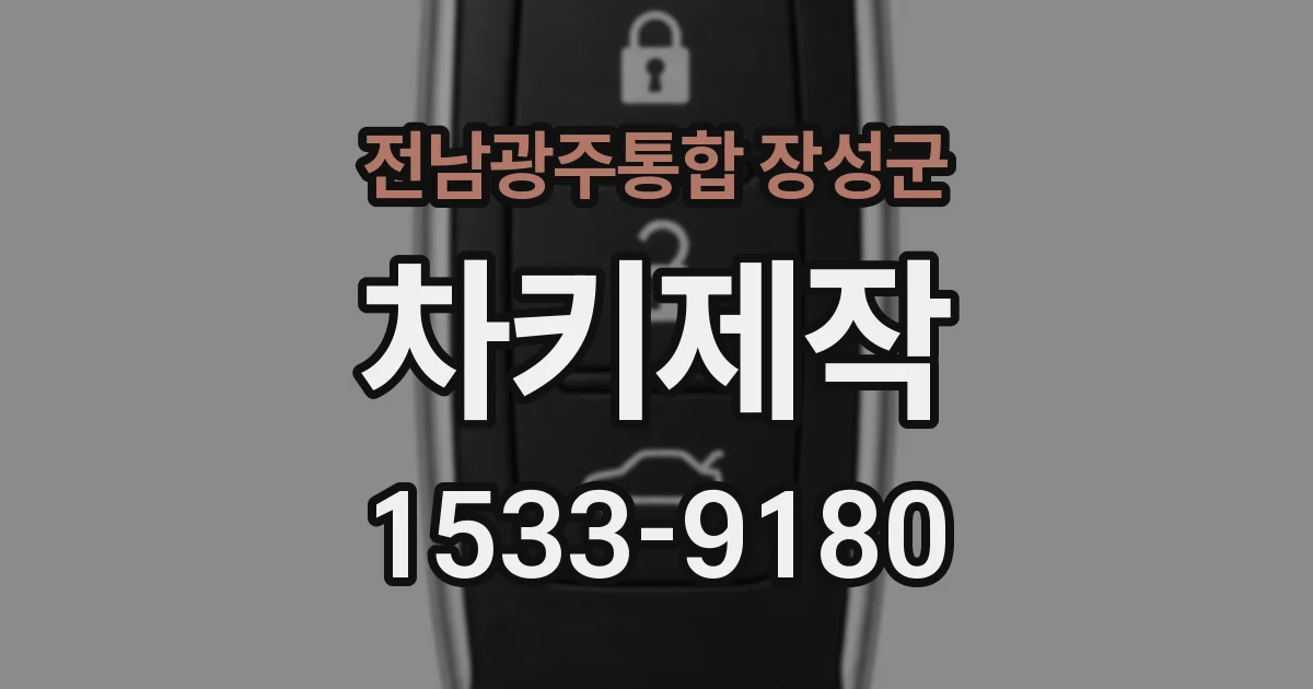 전남광주통합 장성군 차키제작