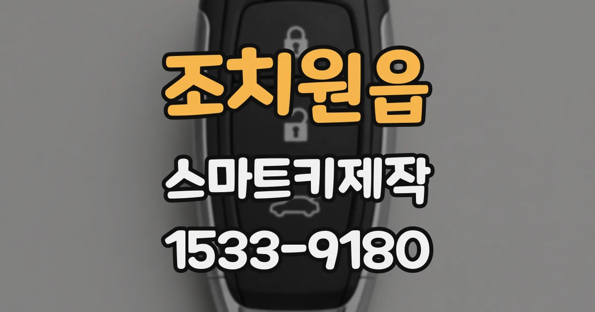 조치원읍 스마트키제작
