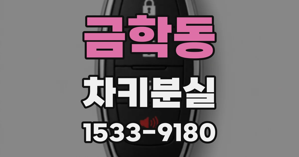 금학동 차키분실