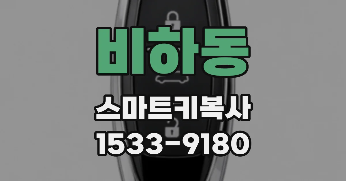 비하동 스마트키복사