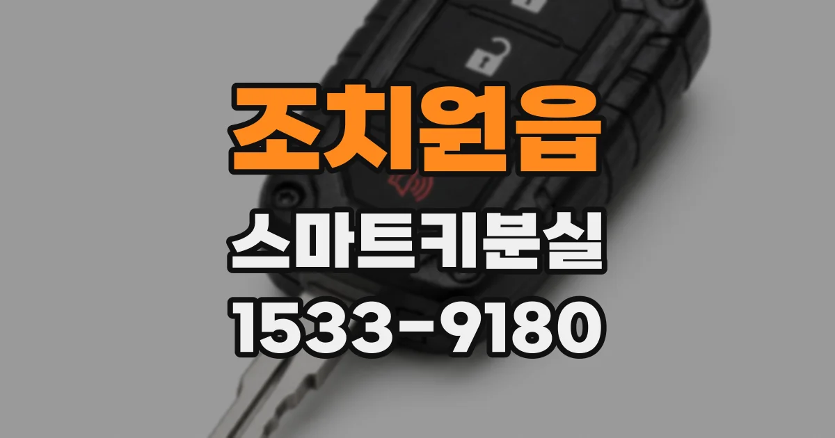 조치원읍 스마트키분실