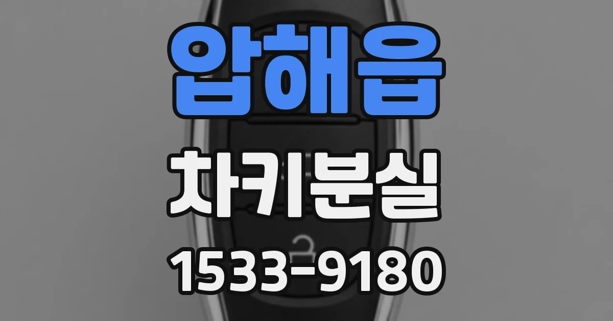 압해읍 차키분실